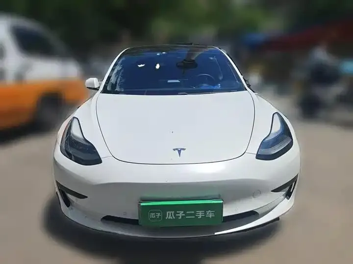 Model 3 2021 model facelift standard endurance rear drive upgrade 3D1 2