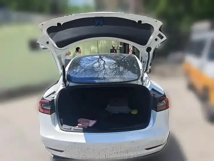 Model 3 2021 model facelift standard endurance rear drive upgrade 3D1 20