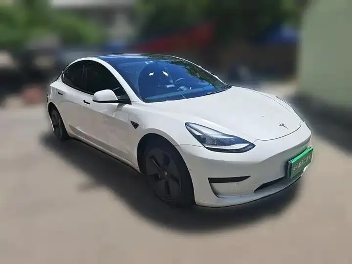 Model 3 2021 model facelift standard endurance rear drive upgrade 3D1 3