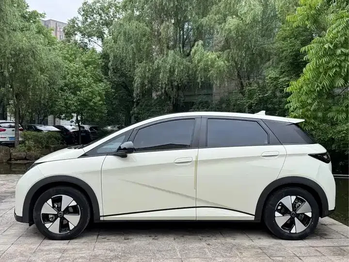 Dolphin 2023 420km Fashion Edition 4