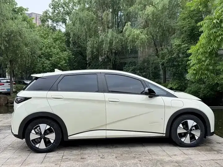 Dolphin 2023 420km Fashion Edition 8