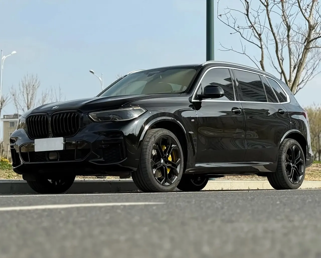 BMW X5 2022 model change xDrive 40Li exclusive m sports suit - View 1