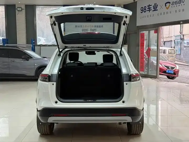 Binzhi 2023 1.5L CVT Technology Edition 23