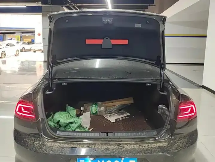 Magotan 2020 330TSI DSG Leading Edition 4