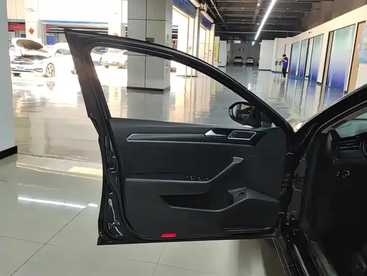 Magotan 2020 330TSI DSG Leading Edition 7