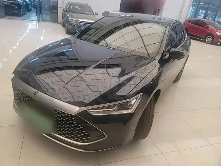 Qin PLUS 2023 Champion Edition DM-i 55KM Leading Model - View 1