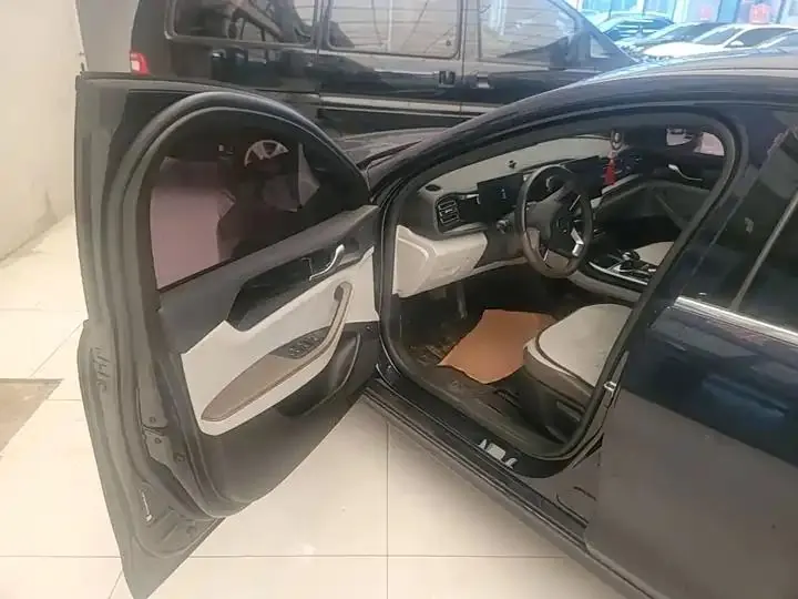 Qin PLUS 2023 Champion Edition DM-i 55KM Leading Model 16
