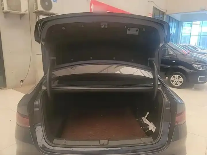 Qin PLUS 2023 Champion Edition DM-i 55KM Leading Model 19