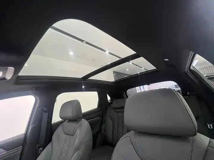 2025 Song L DM-i Intelligent Driving Version, 160 km, Excellence Model 23