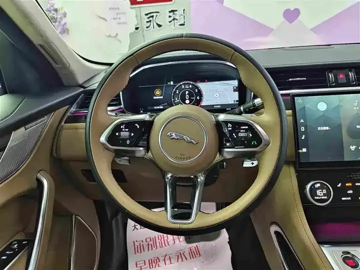 Jaguar F-PACE 2022 P250 HSE 14