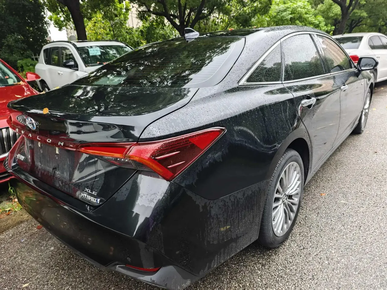 Asian Dragon 2022 Double Qing 2.5L XLE Premium Edition 6