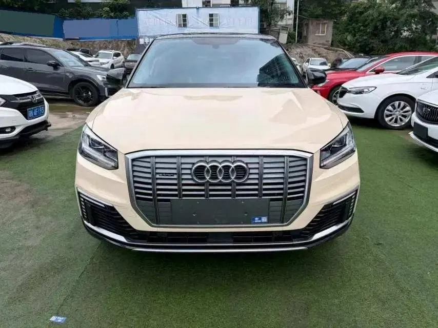 Audi Q2L e-tron 2019 Q2L e-tron Pure Electric Intelligence 2