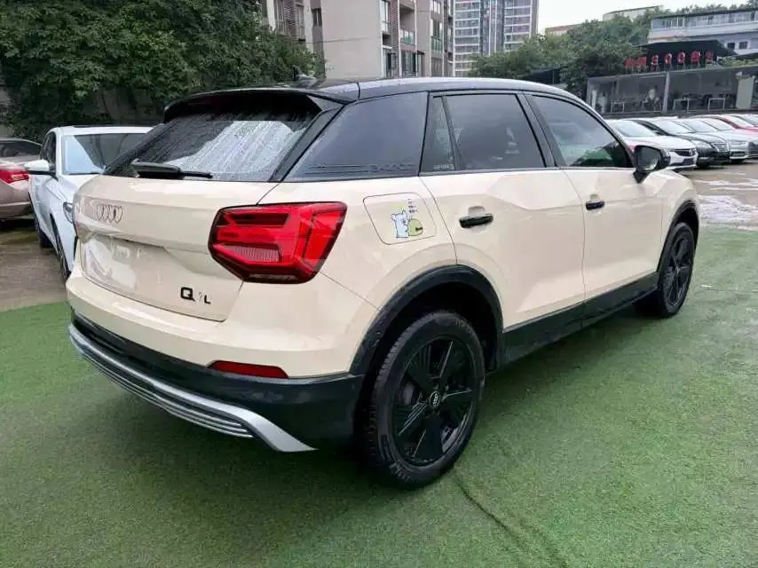 Audi Q2L e-tron 2019 Q2L e-tron Pure Electric Intelligence 4