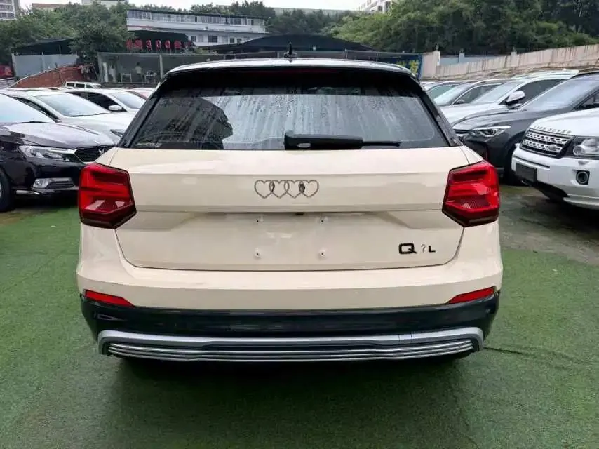 Audi Q2L e-tron 2019 Q2L e-tron Pure Electric Intelligence 5