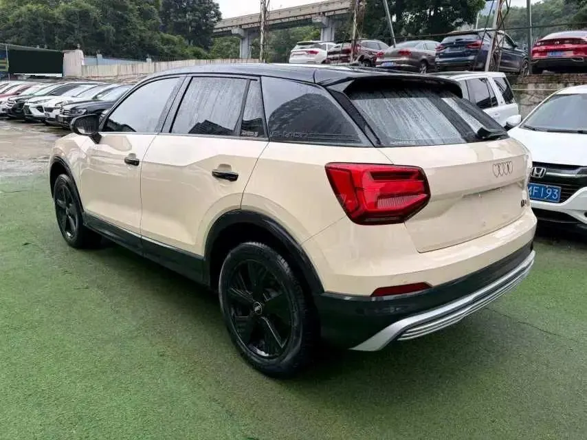 Audi Q2L e-tron 2019 Q2L e-tron Pure Electric Intelligence 6