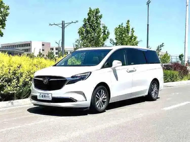 Buick GL8 2021 ES Land Business 653T Prestige Model - View 1