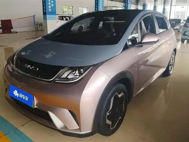 Dolphin 2021, 405 km, Fashion Edition - View 1