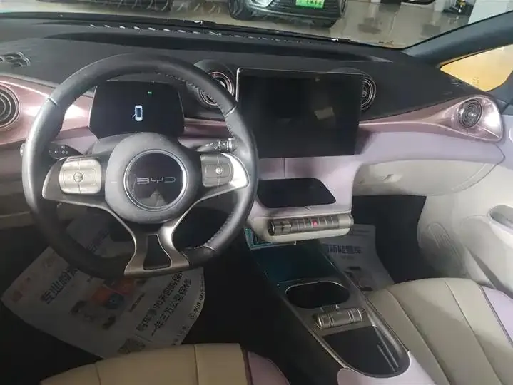 Dolphin 2021, 405 km, Fashion Edition 12