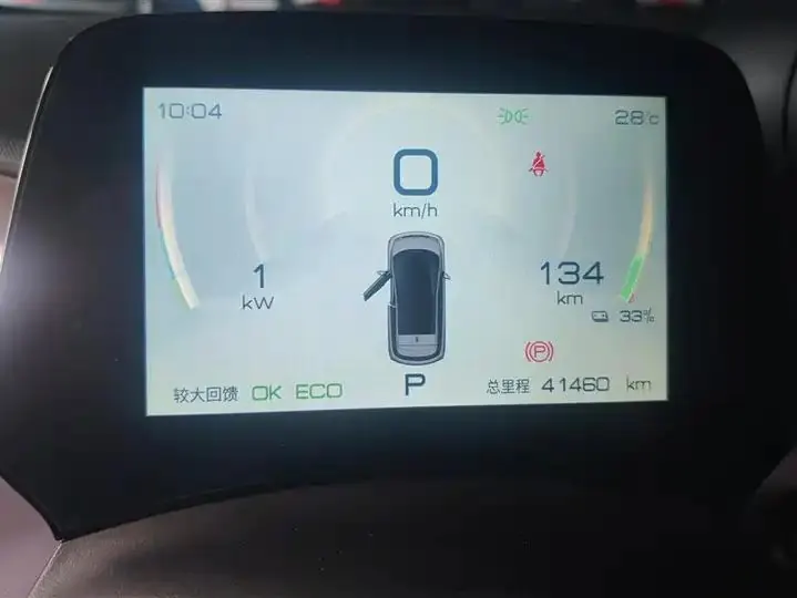 Dolphin 2021, 405 km, Fashion Edition 14