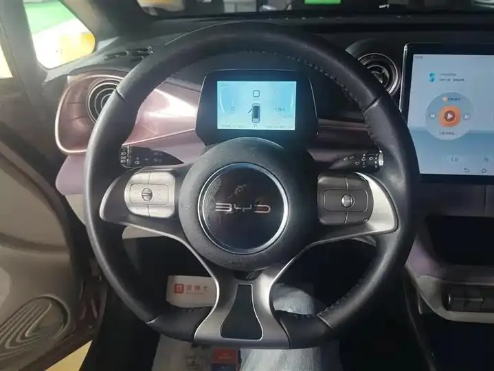 Dolphin 2021, 405 km, Fashion Edition 15