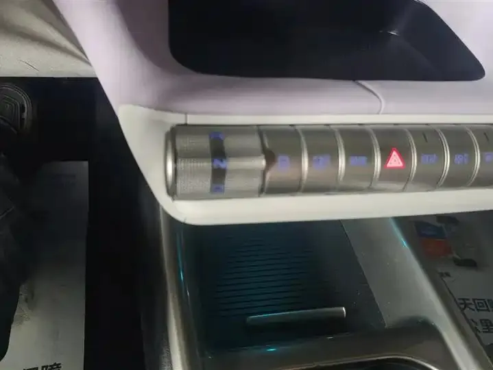 Dolphin 2021, 405 km, Fashion Edition 16