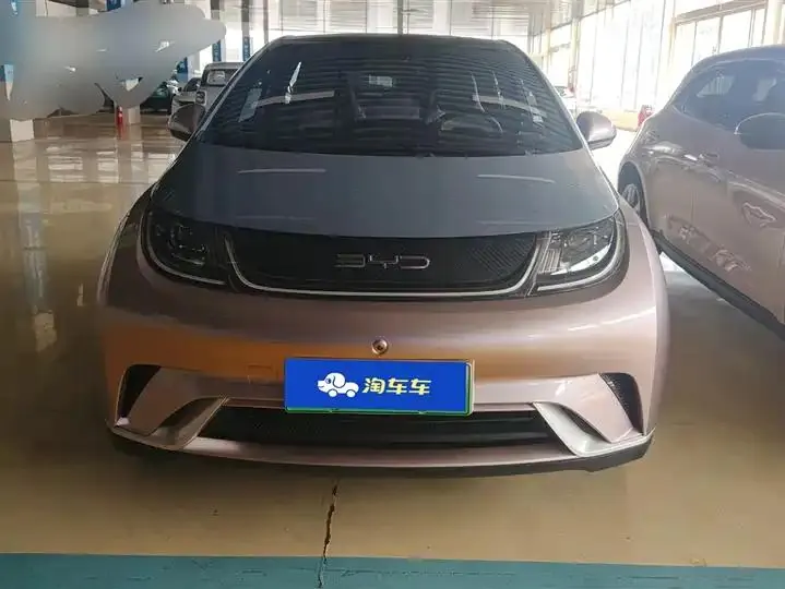 Dolphin 2021, 405 km, Fashion Edition 2