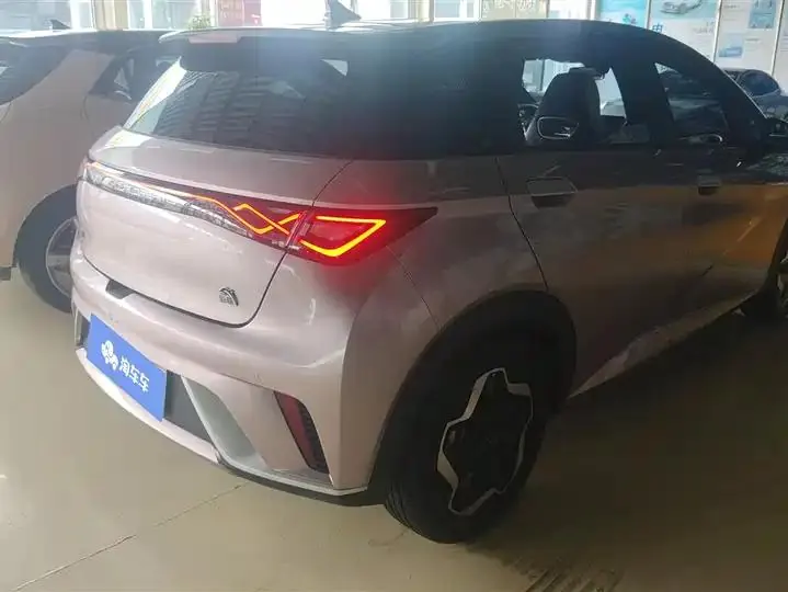 Dolphin 2021, 405 km, Fashion Edition 3