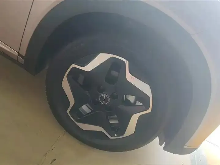 Dolphin 2021, 405 km, Fashion Edition 6