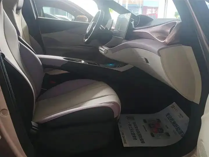 Dolphin 2021, 405 km, Fashion Edition 8