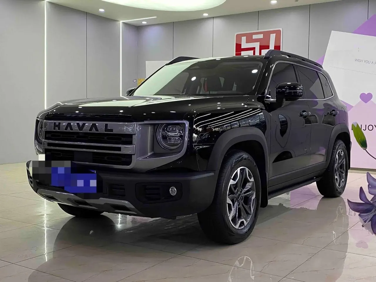 Haval 2024 big dog 2.0T Chinese garden dog version automatic gear - View 1