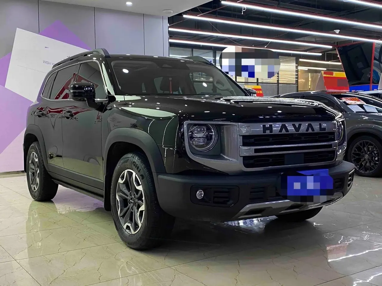 Haval 2024 big dog 2.0T Chinese garden dog version automatic gear 3