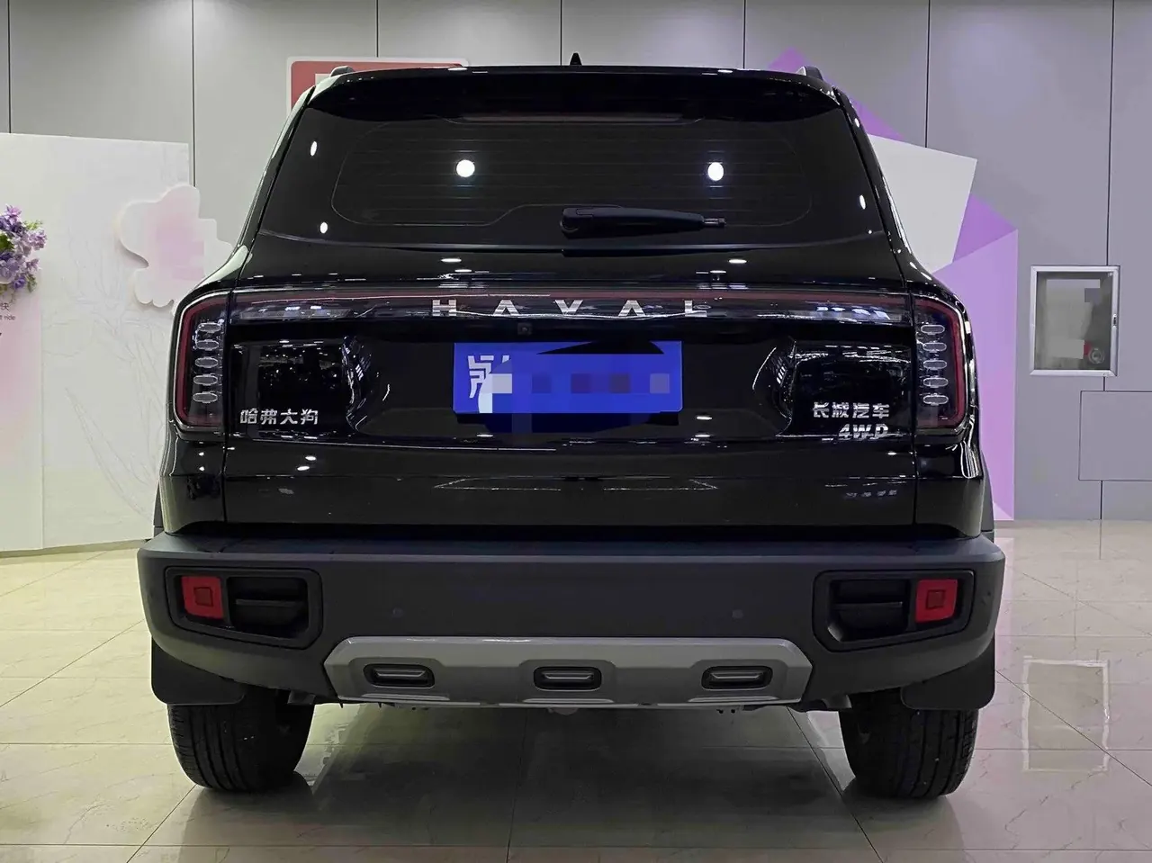 Haval 2024 big dog 2.0T Chinese garden dog version automatic gear 7