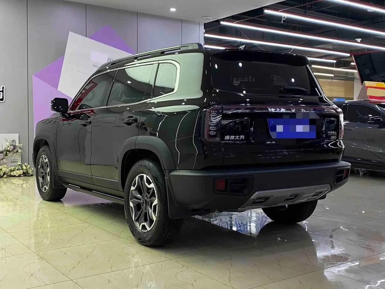 Haval 2024 big dog 2.0T Chinese garden dog version automatic gear 9