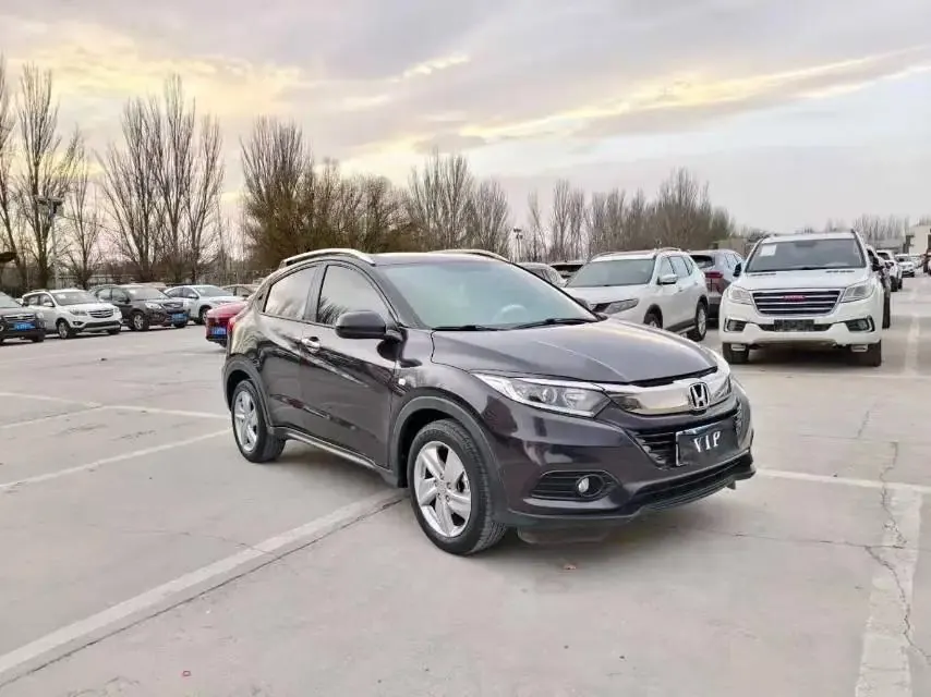 Binzhi 2019 220 TURBO CVT Elite Edition National V 3