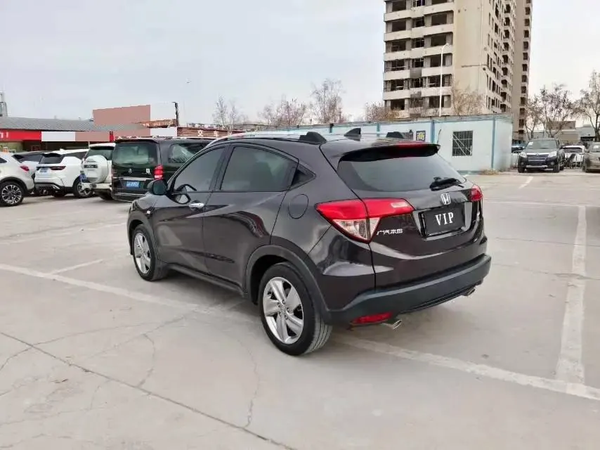 Binzhi 2019 220 TURBO CVT Elite Edition National V 4