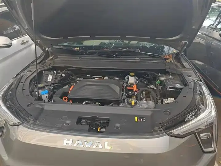 Haval Xiaolong 2023 1.5L 110KM Pilot Edition 10