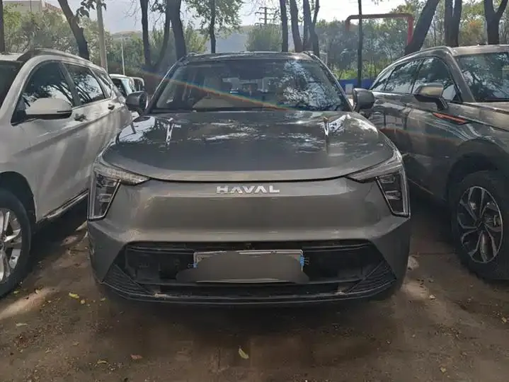 Haval Xiaolong 2023 1.5L 110KM Pilot Edition 2