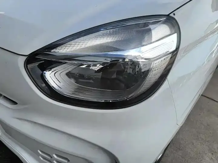 CLEVER 2021 302km Excellence Edition 24