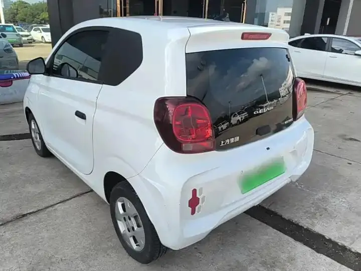 CLEVER 2021 302km Excellence Edition 5