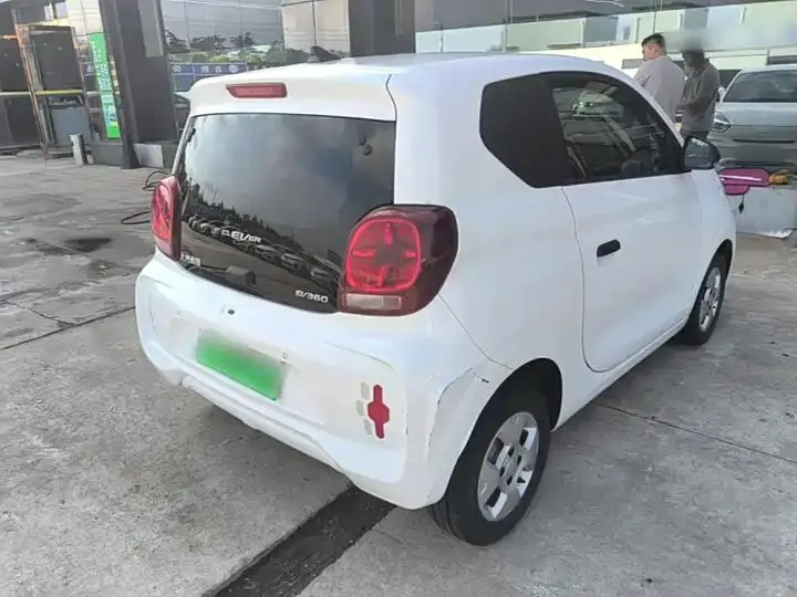 CLEVER 2021 302km Excellence Edition 7