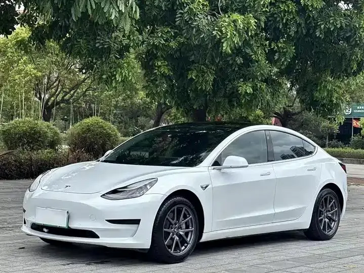 2020 Model 3 Standard Range Rear-Wheel Drive Upgrade Version - View 1