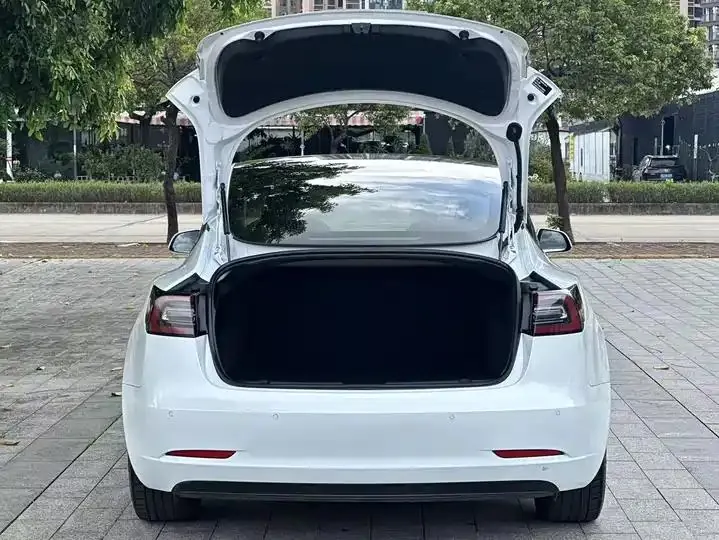 2020 Model 3 Standard Range Rear-Wheel Drive Upgrade Version 15