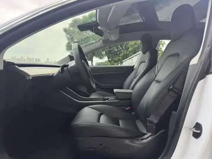 2020 Model 3 Standard Range Rear-Wheel Drive Upgrade Version 4