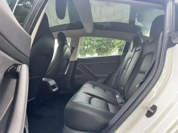 2020 Model 3 Standard Range Rear-Wheel Drive Upgrade Version 6