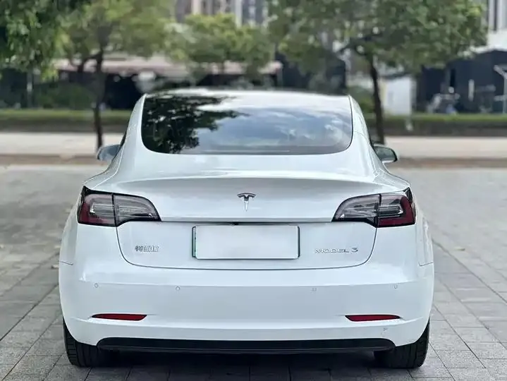 2020 Model 3 Standard Range Rear-Wheel Drive Upgrade Version 8