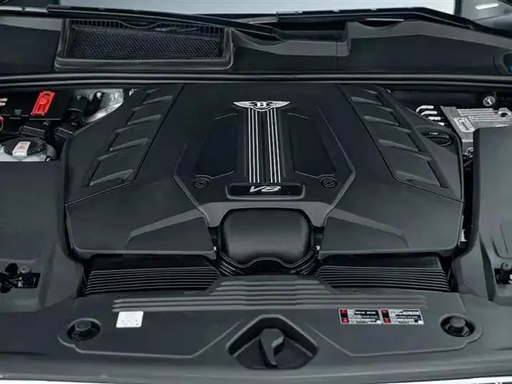 Add more 2022 4.0T V8 19