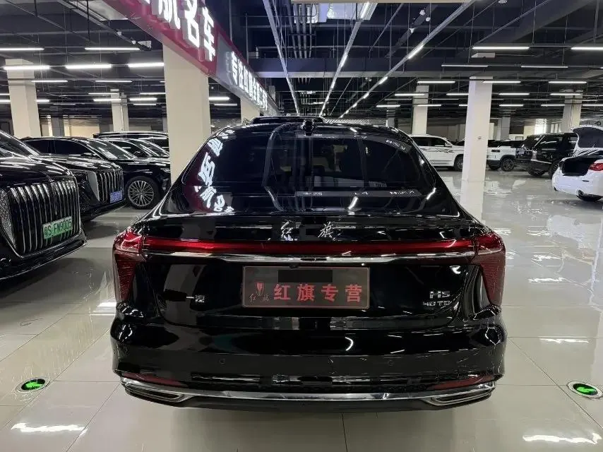 HongQi H5 2024 2.0T Auto Zhilian Flag Chang Edition 7