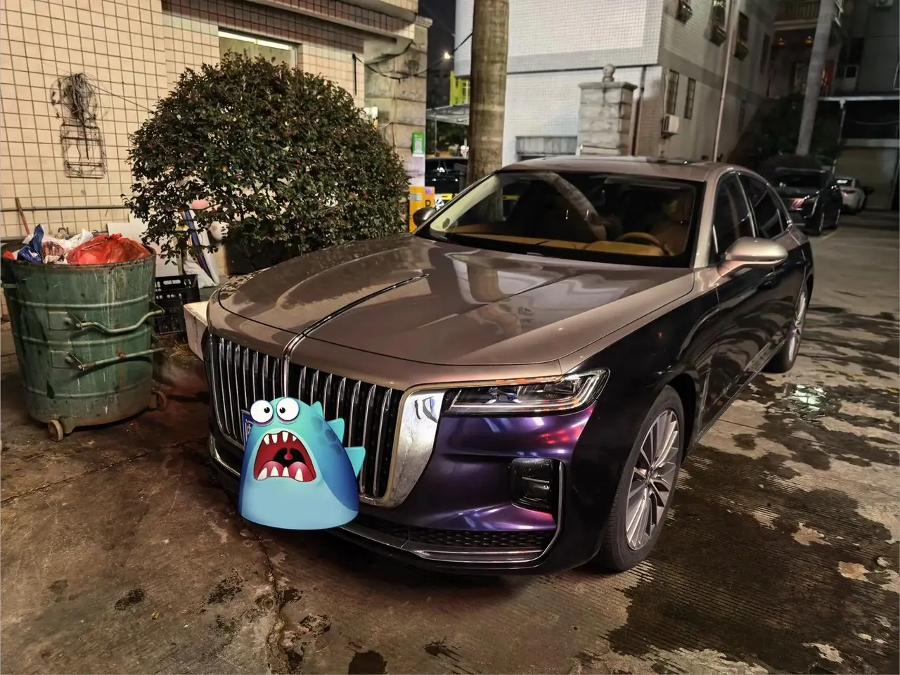 HongQi H9 2020 model 2.0T Intelligent Connected Flag Enjoyment Edition - View 1