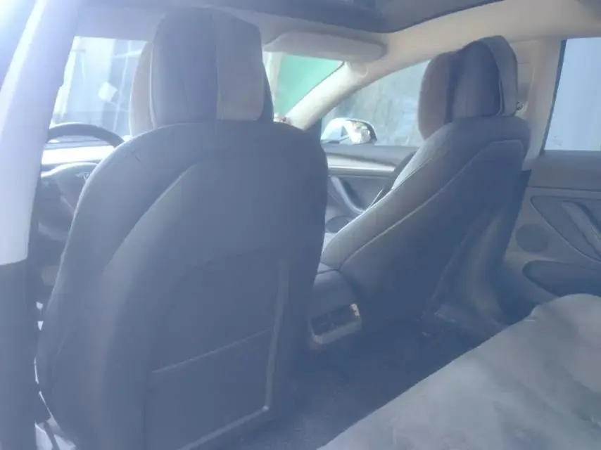 2021 Model 3 Standard Range Rear-Wheel Drive Upgrade Version 9