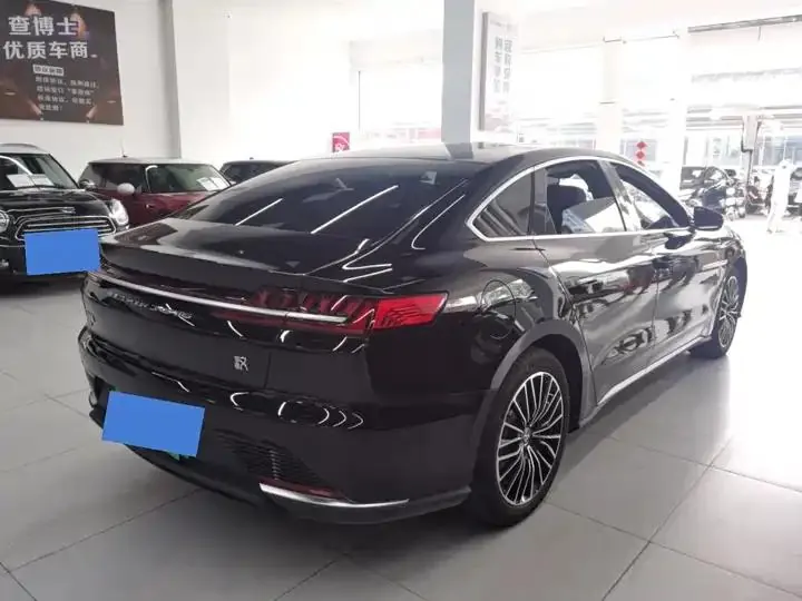 Han 2020 EV Super Long Endurance Deluxe Model 10